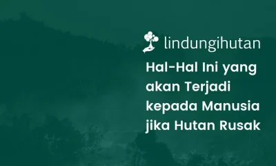 Dampak kerusakan hutan