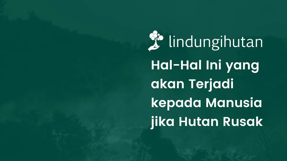 Dampak kerusakan hutan