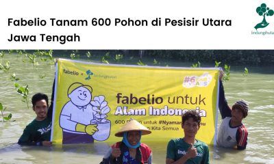 Fabelio tanam 600 pohon di pesisir pantai utara Jawa Tengah.