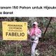 Fabelio menanam 150 pohon kayu di Agam, Sumatera Barat bersama LindungiHutan.