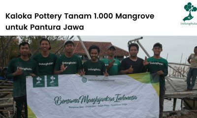 LindungiHutan dan Kaloka Pottery kerjasama untuk tabungan oksigen dengan menanam mangrove.