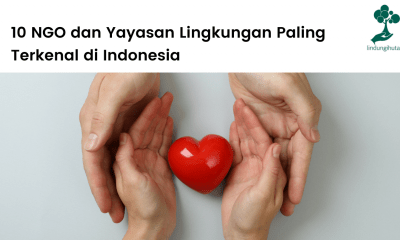 10 NGO dan Yayasan Lingkungan Terkenal di Indonesia.