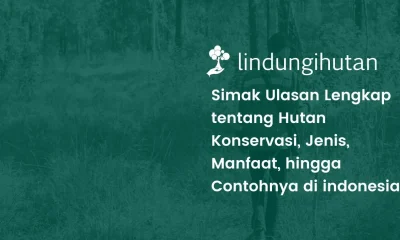 Apa itu hutan konservasi?