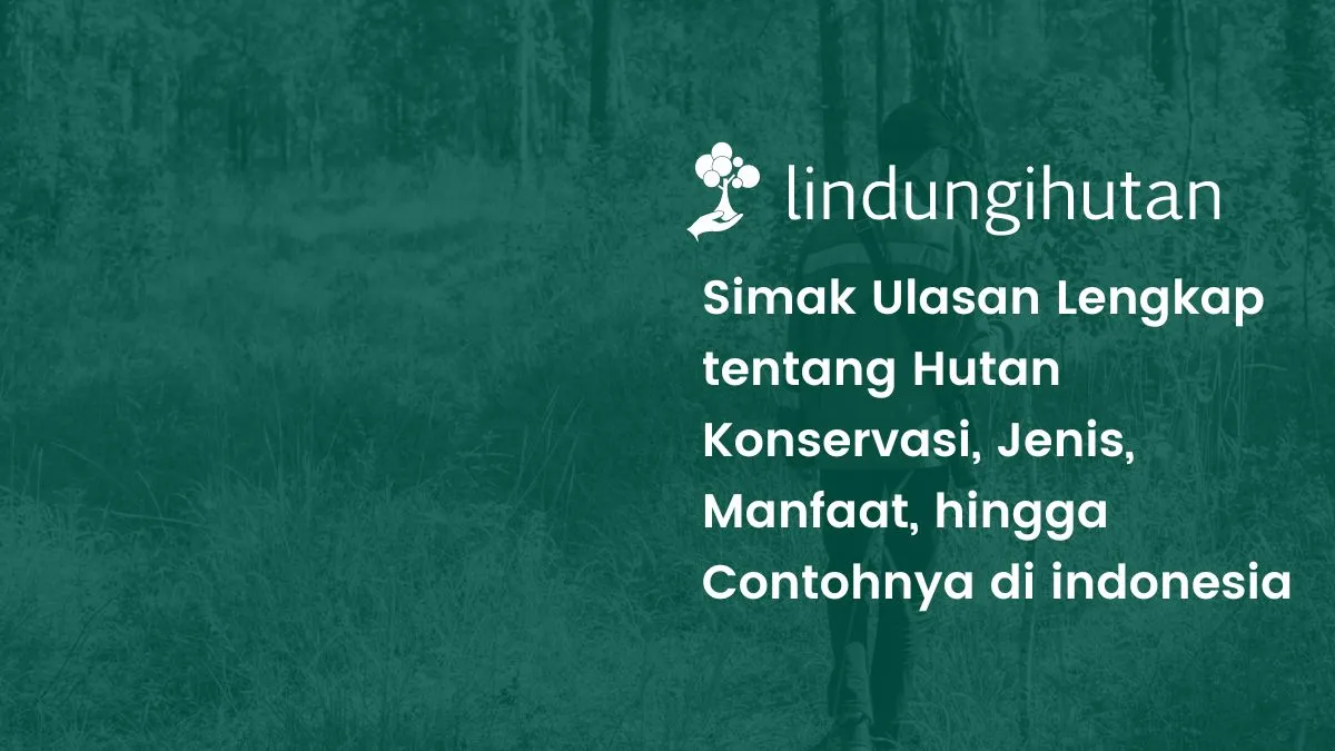 Apa itu hutan konservasi?