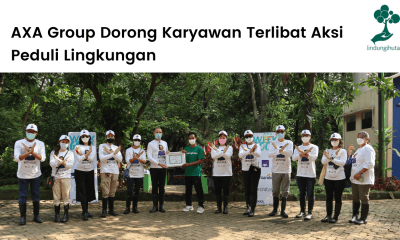 AXA Mandiri bersama LindungiHutan menanam 500 mangrove di PIK, Jakarta.