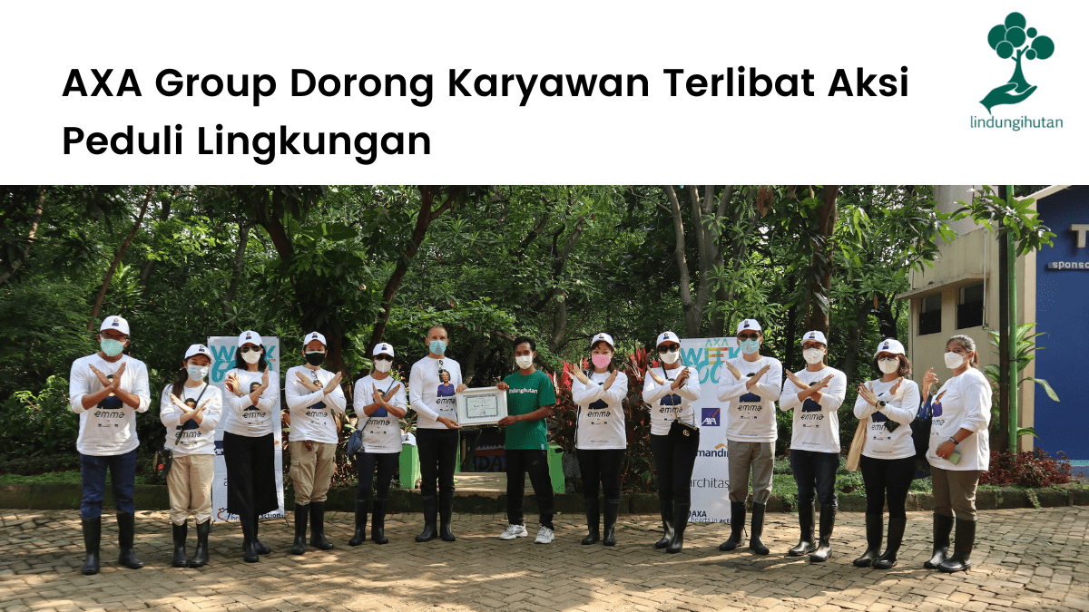 AXA Mandiri bersama LindungiHutan menanam 500 mangrove di PIK, Jakarta.