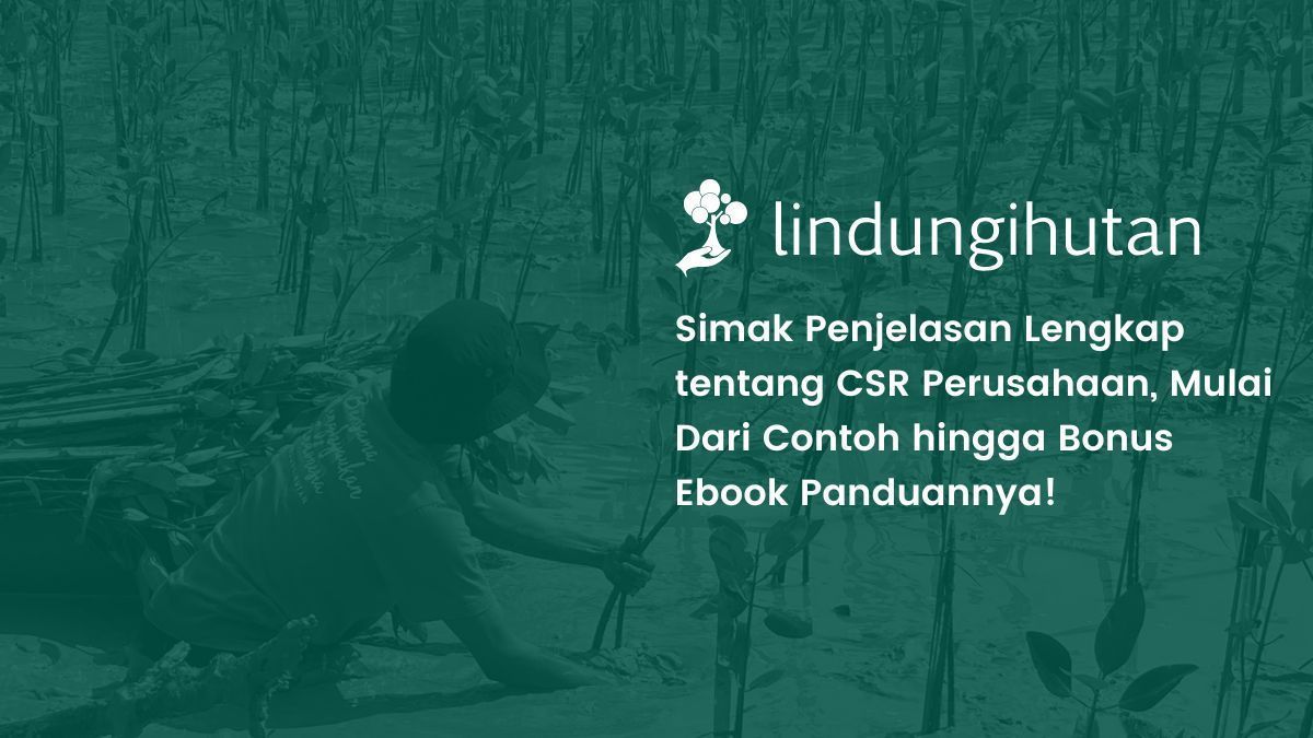 CSR Perusahaan
