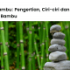 Pengertian hutan bambu, ciri-ciri, sebaran dan manfaat bambu.