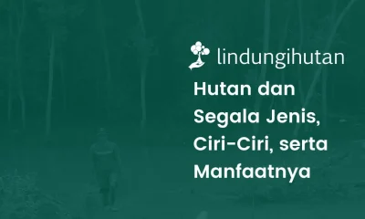 Jenis-jenis hutan