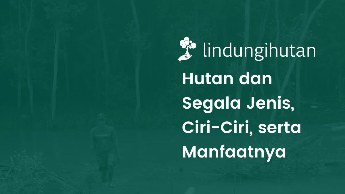 Jenis-jenis hutan