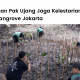 Kisah singkat mitra penanaman pohon LindungiHutan di Jakarta, Pak Ujang.