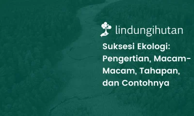 Pengertian suksesi