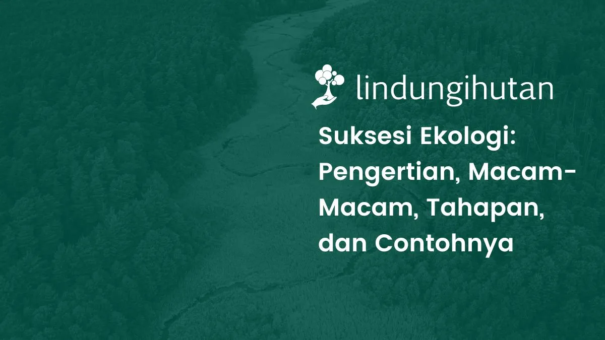 Pengertian suksesi