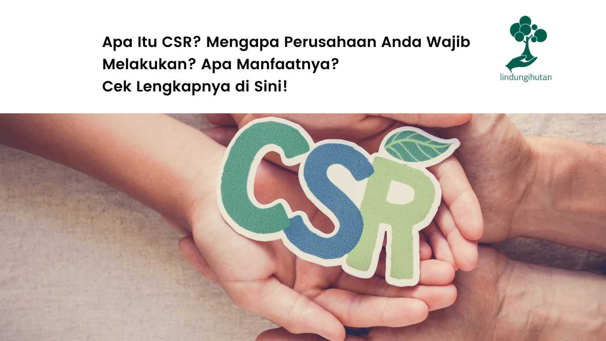 Program CSR