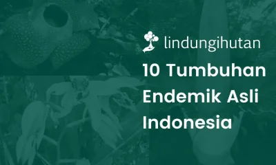 Tumbuhan endemik asli Indonesia
