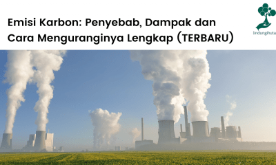 Pengertian emisi karbon, penyebab, dampak buruk dan cara mengurangi jejak karbon.