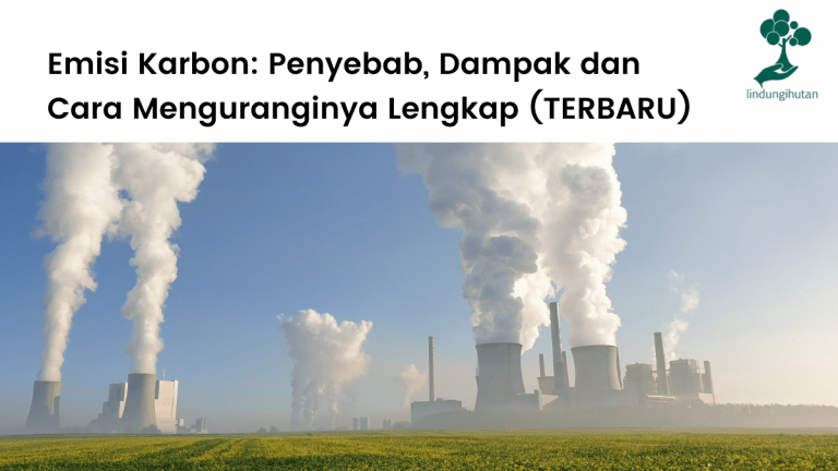 Pengertian emisi karbon, penyebab, dampak buruk dan cara mengurangi jejak karbon.