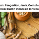 Pengertian hasil hutan, jenis-jenis dan contoh hasil hutan Indonesia lengkap.