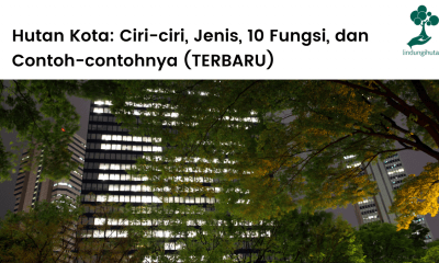 Pengertian hutan kota, ciri-ciri, jenis, fungsi dan manfaat hutan kota serta contoh-contoh hutan kota di Indonesia.