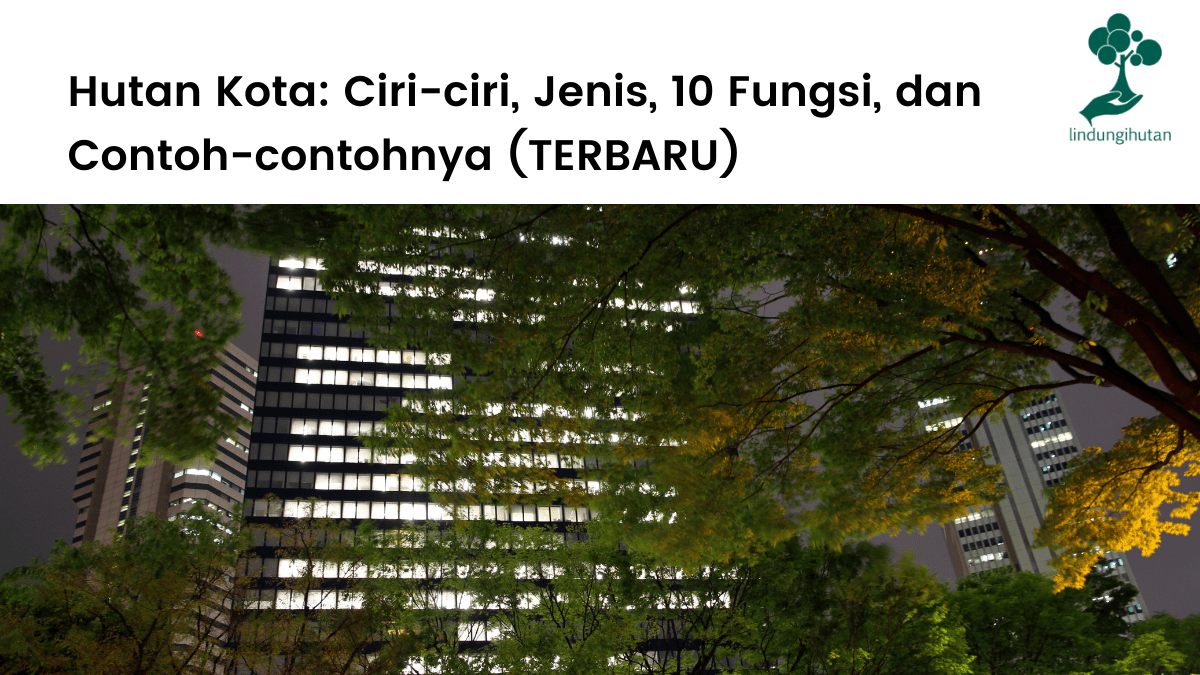 Pengertian hutan kota, ciri-ciri, jenis, fungsi dan manfaat hutan kota serta contoh-contoh hutan kota di Indonesia.