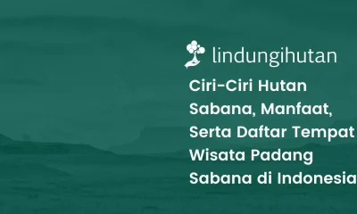 Hutan sabana