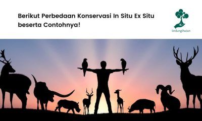 Pengertian konservasi in situ dan ex situ