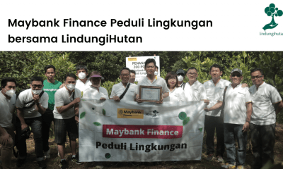 Maybank Finance gandeng LindungiHutan untuk menanam mangrove di Jakarta.