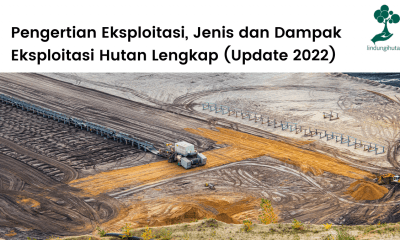 Pengertian eksploitasi, jenis, contoh-contoh ekploitasi hutan di Indonesia dan dampaknya.