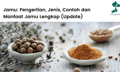 Pengertian jamu, sejarah ringkas, jenis-jenis jamu, tutorial pembuatan dan manfaat jamu sebagai obat tradisional.