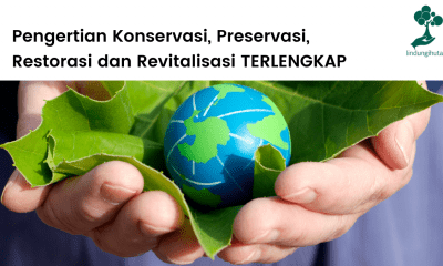 Pengertian konservasi, preservasi, restorasi dan revitalisasi lengkap.