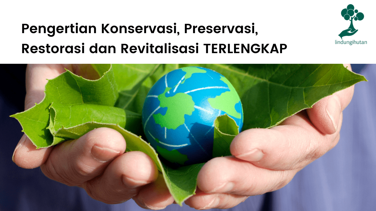 Pengertian konservasi, preservasi, restorasi dan revitalisasi lengkap.
