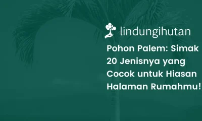 Pohon palem adalah