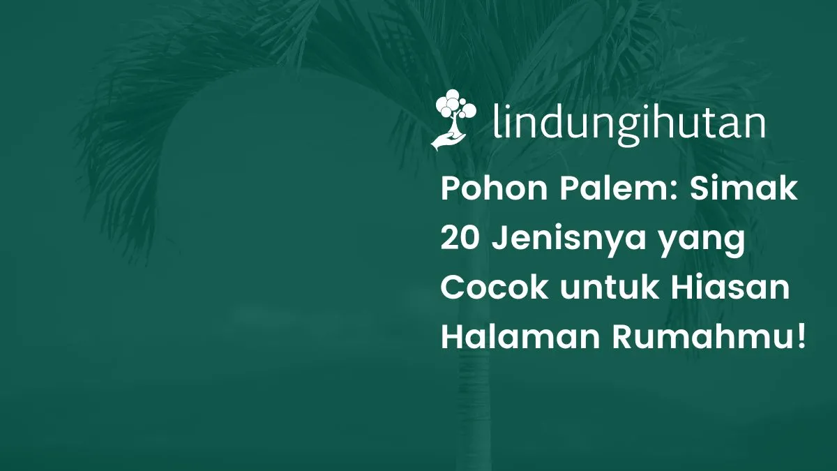 Pohon palem adalah