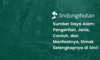 Sumber daya alam adalah