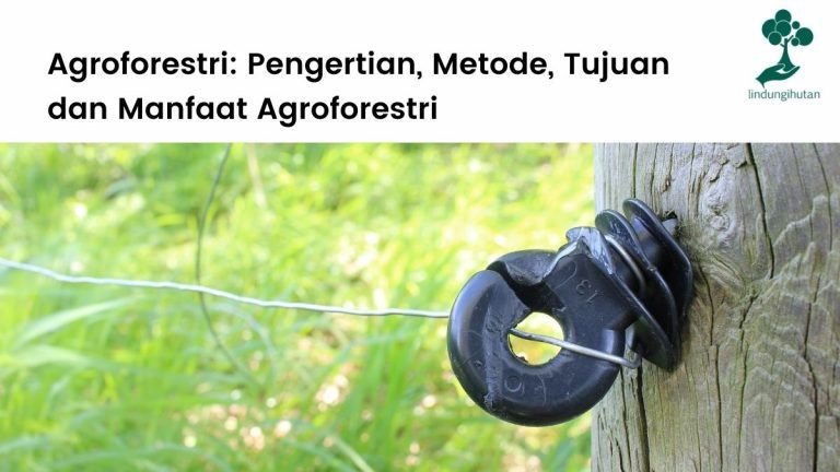 Pengertian agroforestri, metode, tujuan dan manfaat agroforestri.