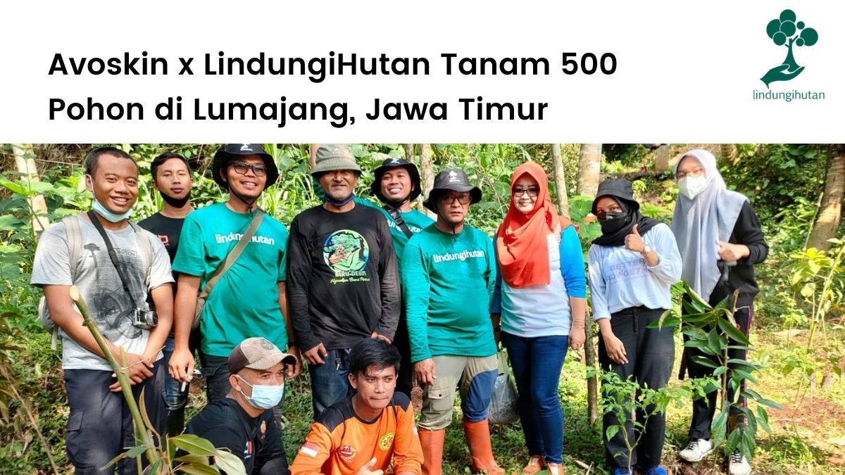 Avoskin dan LindungiHutan berkolaborasi untuk konservasi hutan di Lumajang, Jawa Timur.