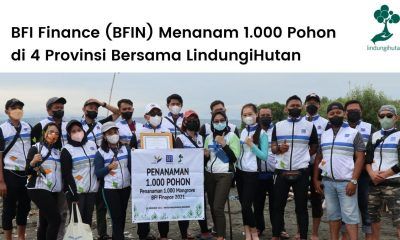 BFIN bekerjasama dengan LindungiHutan untuk menanam ribuan pohon mangrove di berbagai provinsi.