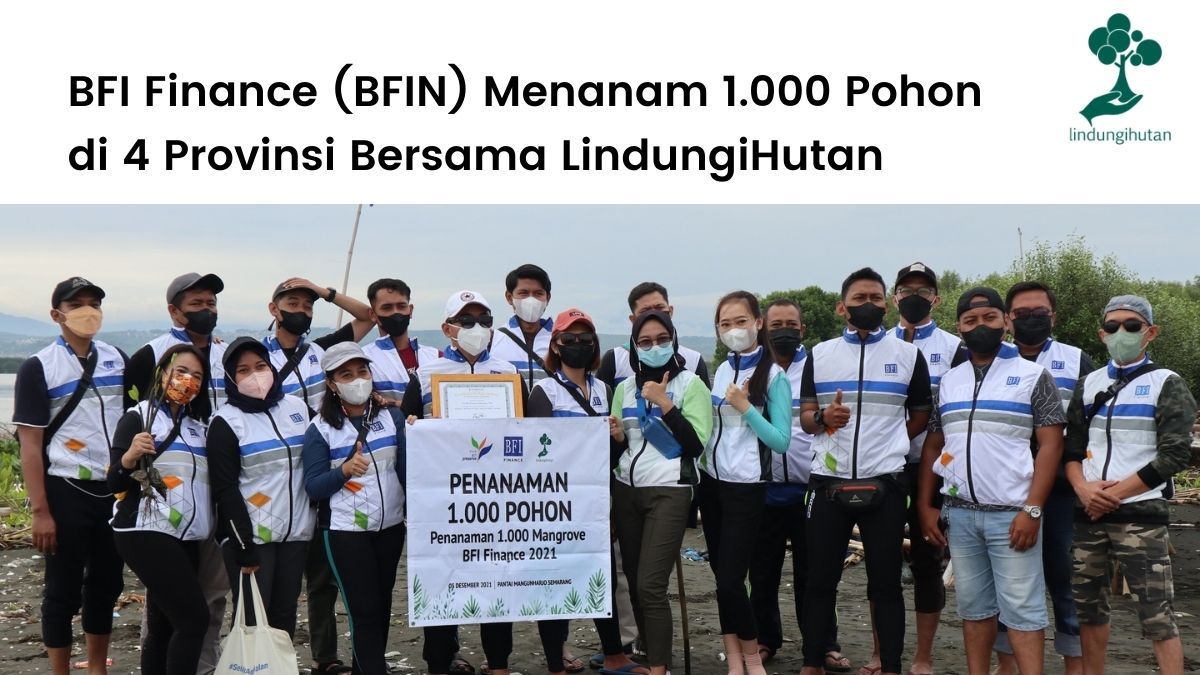 BFIN bekerjasama dengan LindungiHutan untuk menanam ribuan pohon mangrove di berbagai provinsi.