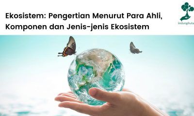 Pengertian ekosistem menurut para ahli, komponen=komponen dan jenis-jenis ekosistem.