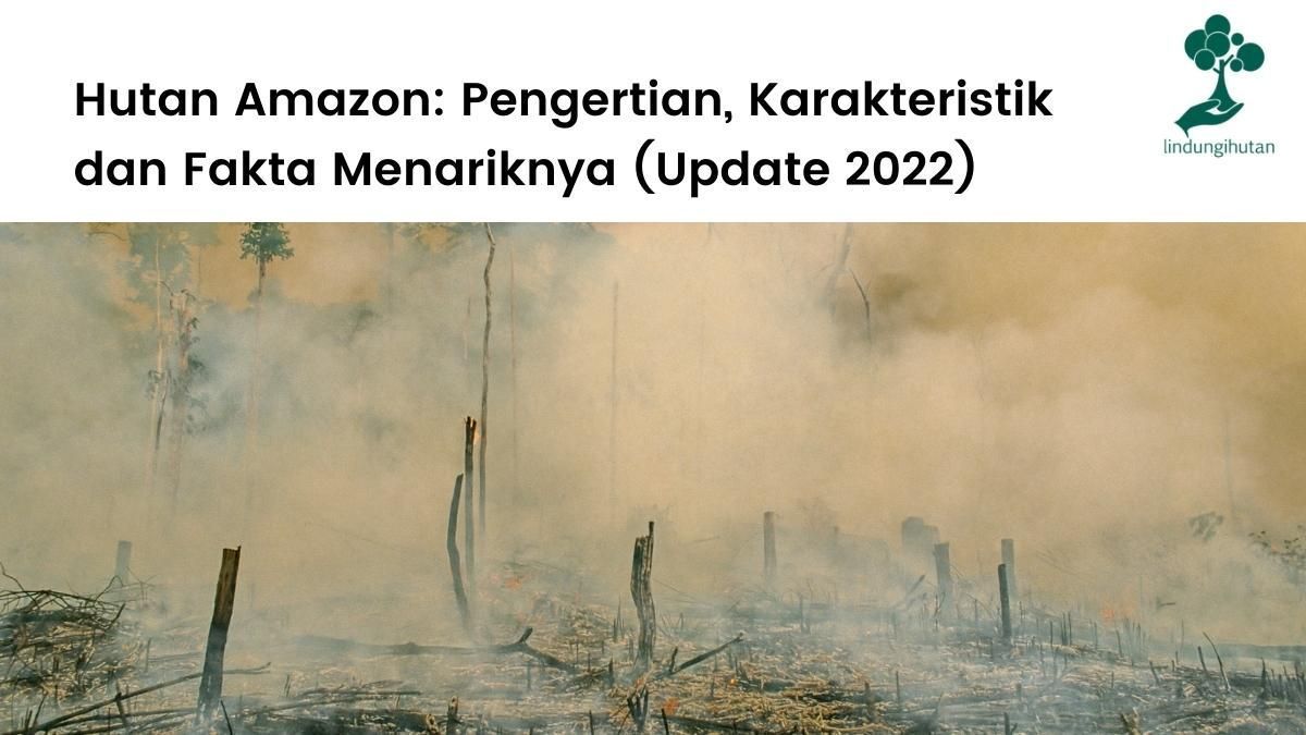 Artikel lengkap hutan amazon.