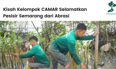 Artikel tentang mitra penanaman pohon kelompok CAMAR di Semarang.