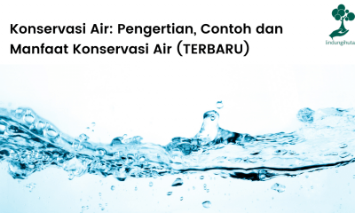 Pengertian konservasi air, contoh-contoh dan manfaat pelestarian sumber daya air.