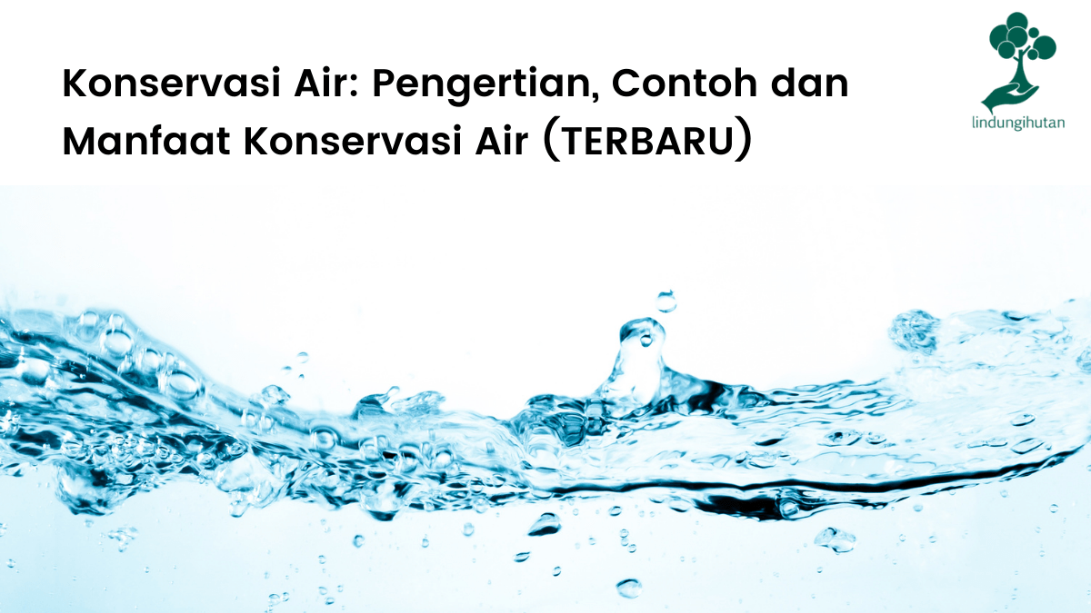 Pengertian konservasi air, contoh-contoh dan manfaat pelestarian sumber daya air.