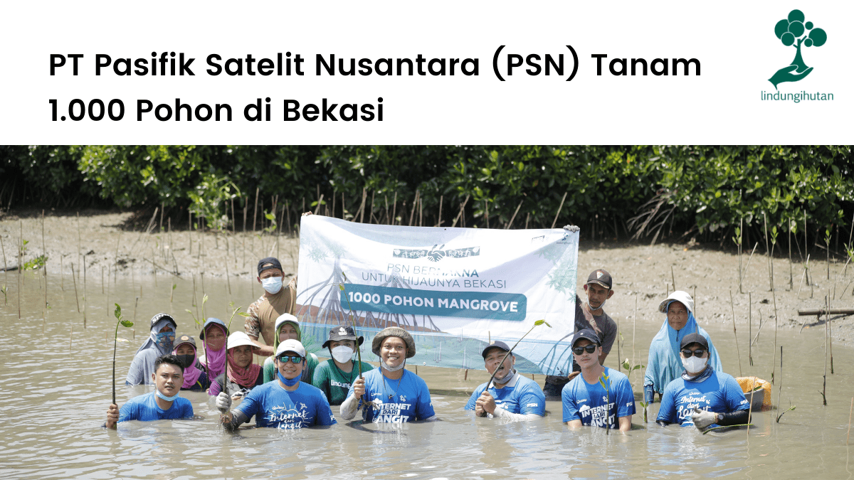 PSN menanam pohon mangrove di Bekasi bersama LindungiHutan guna implementasi program corporate social responsibility (CSR) perusahaan.