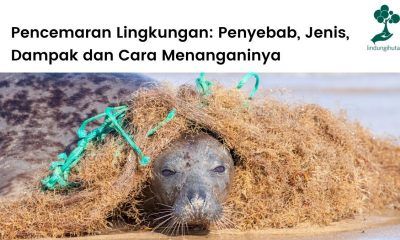 Artikel lengkap tentang pencemaran lingkungan dan polusi.