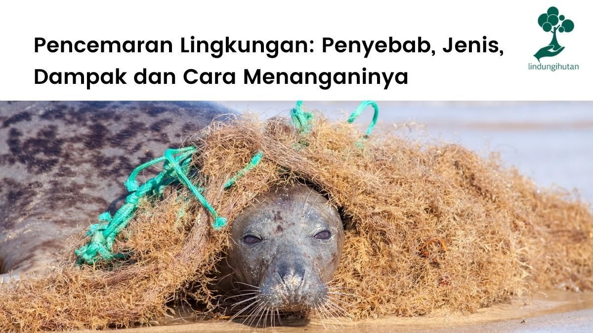Artikel lengkap tentang pencemaran lingkungan dan polusi.