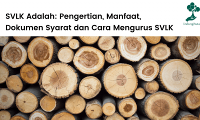 Pembahasan Sistem Verifikasi Legalitas Kayu (SVLK) lengkap.