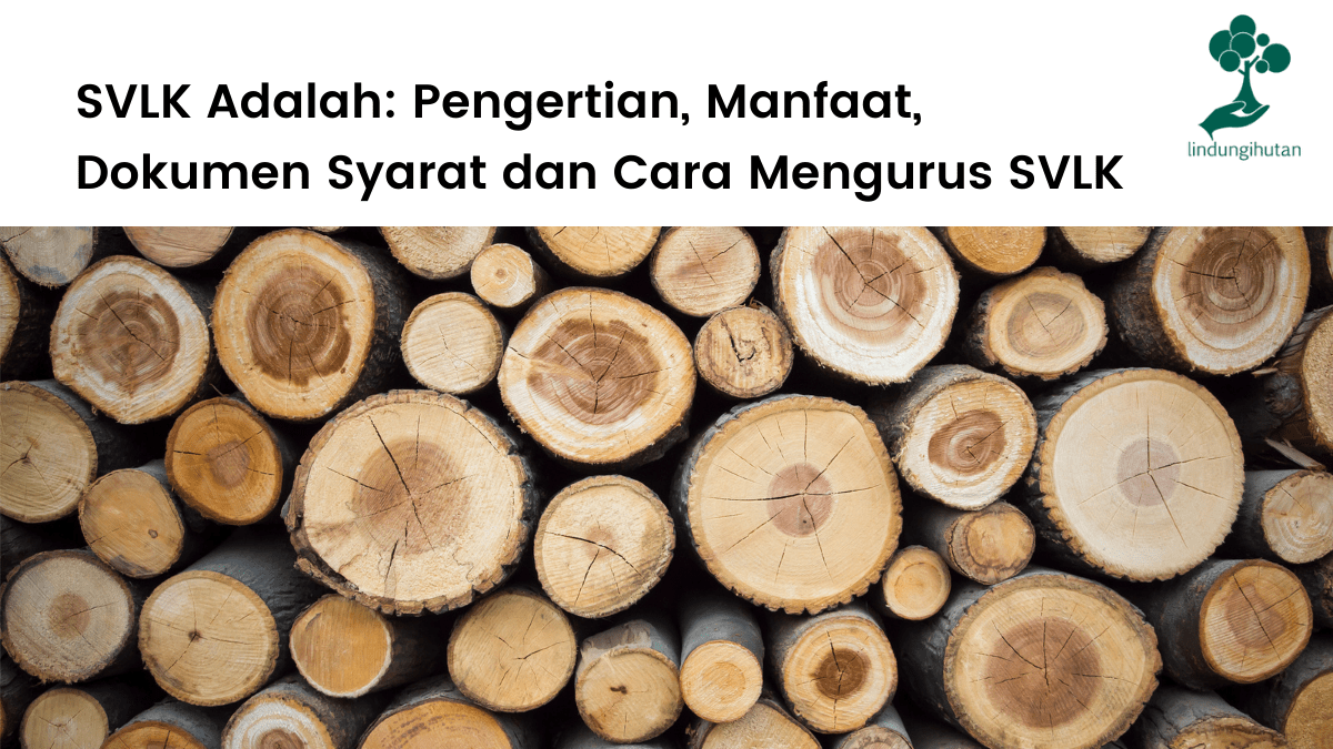 Pembahasan Sistem Verifikasi Legalitas Kayu (SVLK) lengkap.
