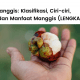 Pembahasan pohon manggis lengkap, klasifikasi, ciri-ciri pohon manggis dan manfaatnya.