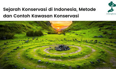 Sejarah konservasi di Indonesia.